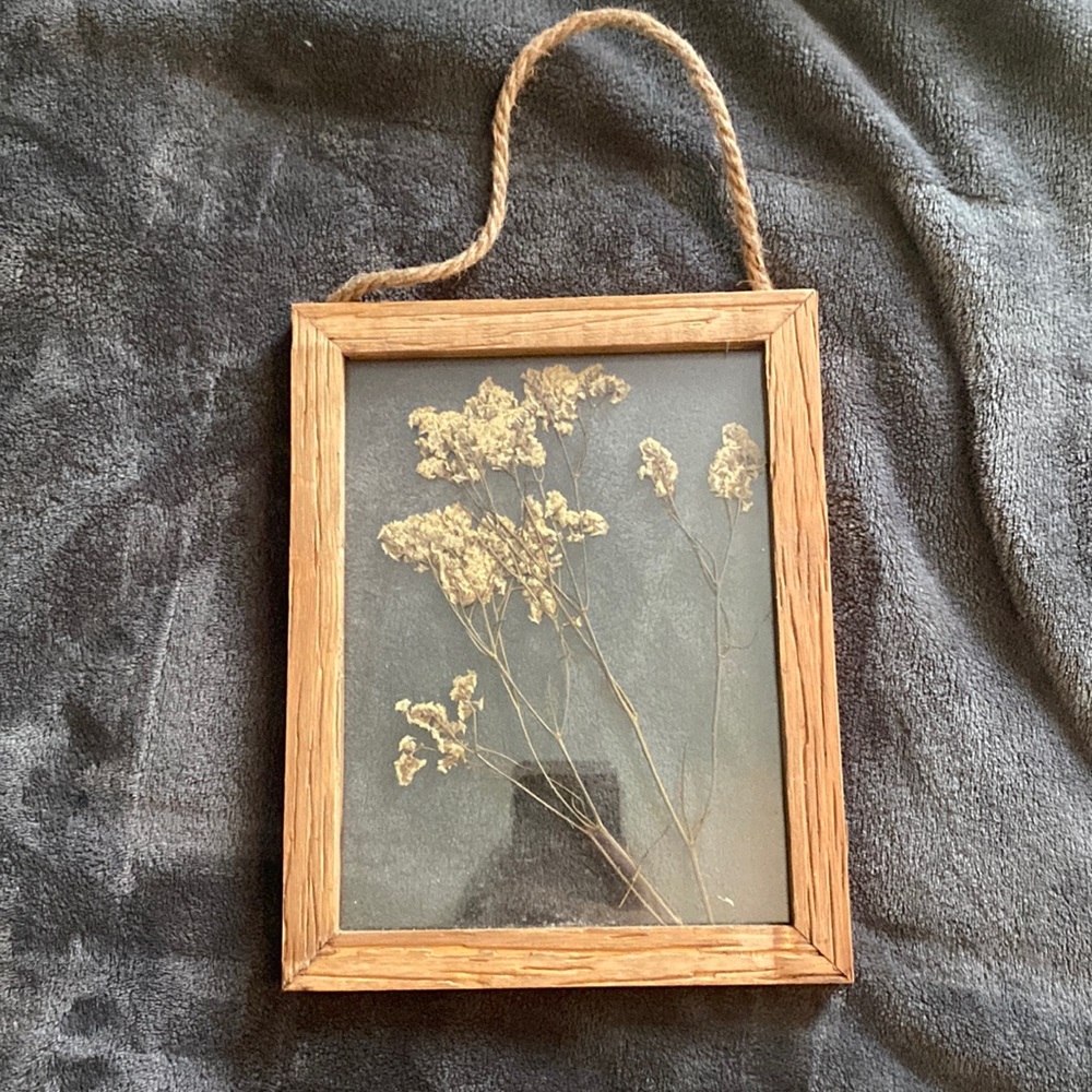 Hobby Lobby Dried Flower Frame; never used; great for Boho-inspired room 🌼